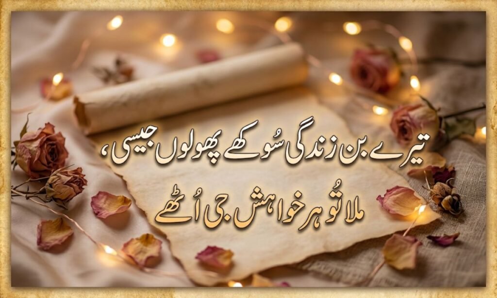 Matlabi duniya shayari